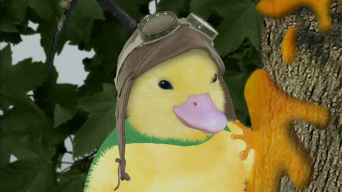 wonder pets save the duckling