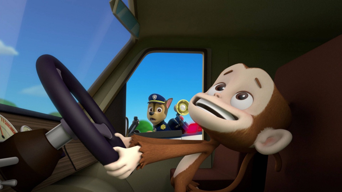 a Hoot - PAW Patrol (Season 1, Episode 