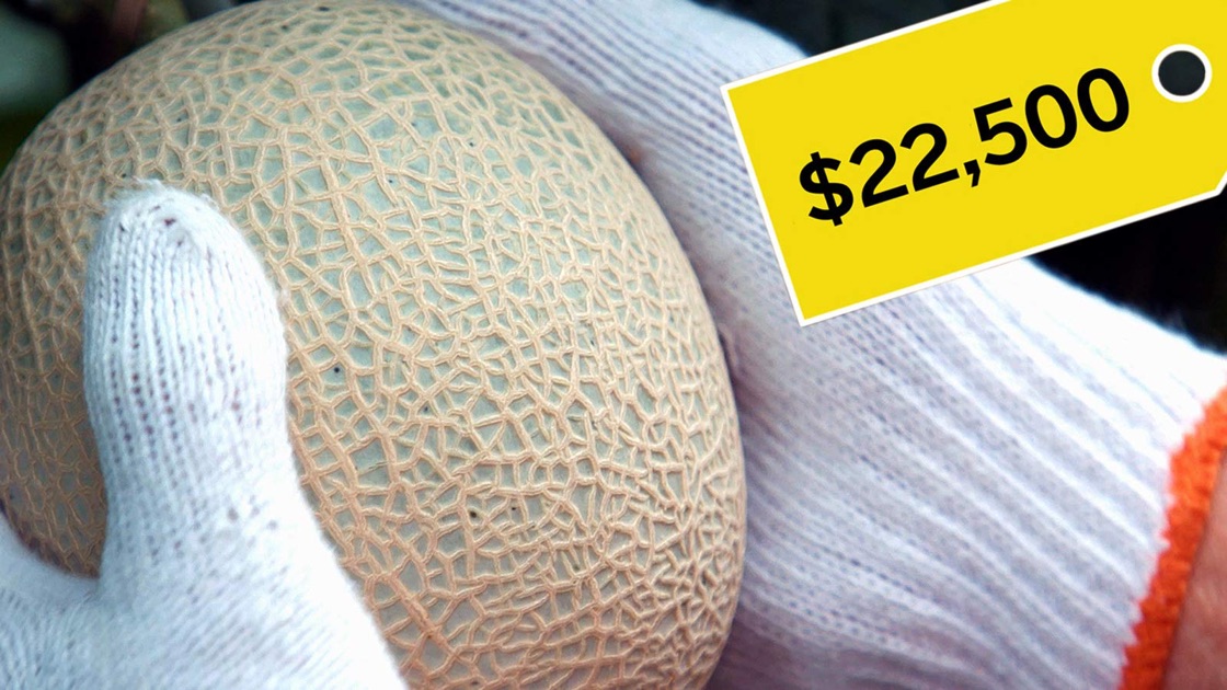 Why Japanese Melons Are So Expensive On Apple Tv 0654
