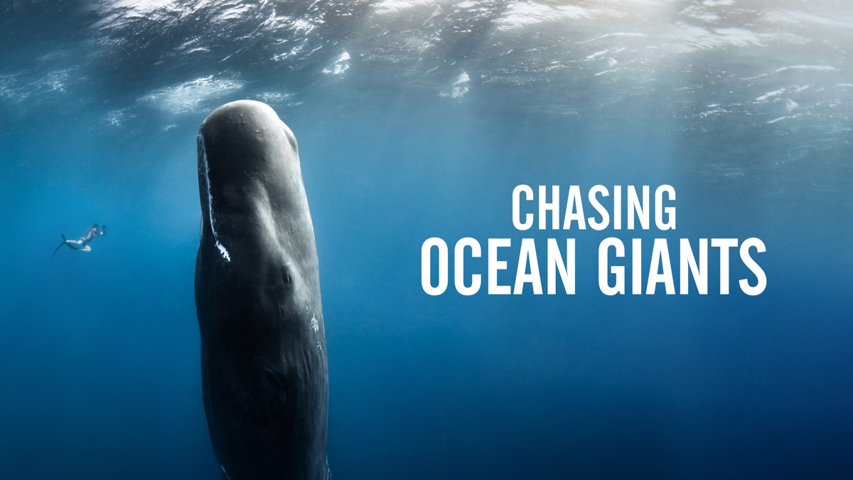 Chasing Ocean Giants | Apple TV