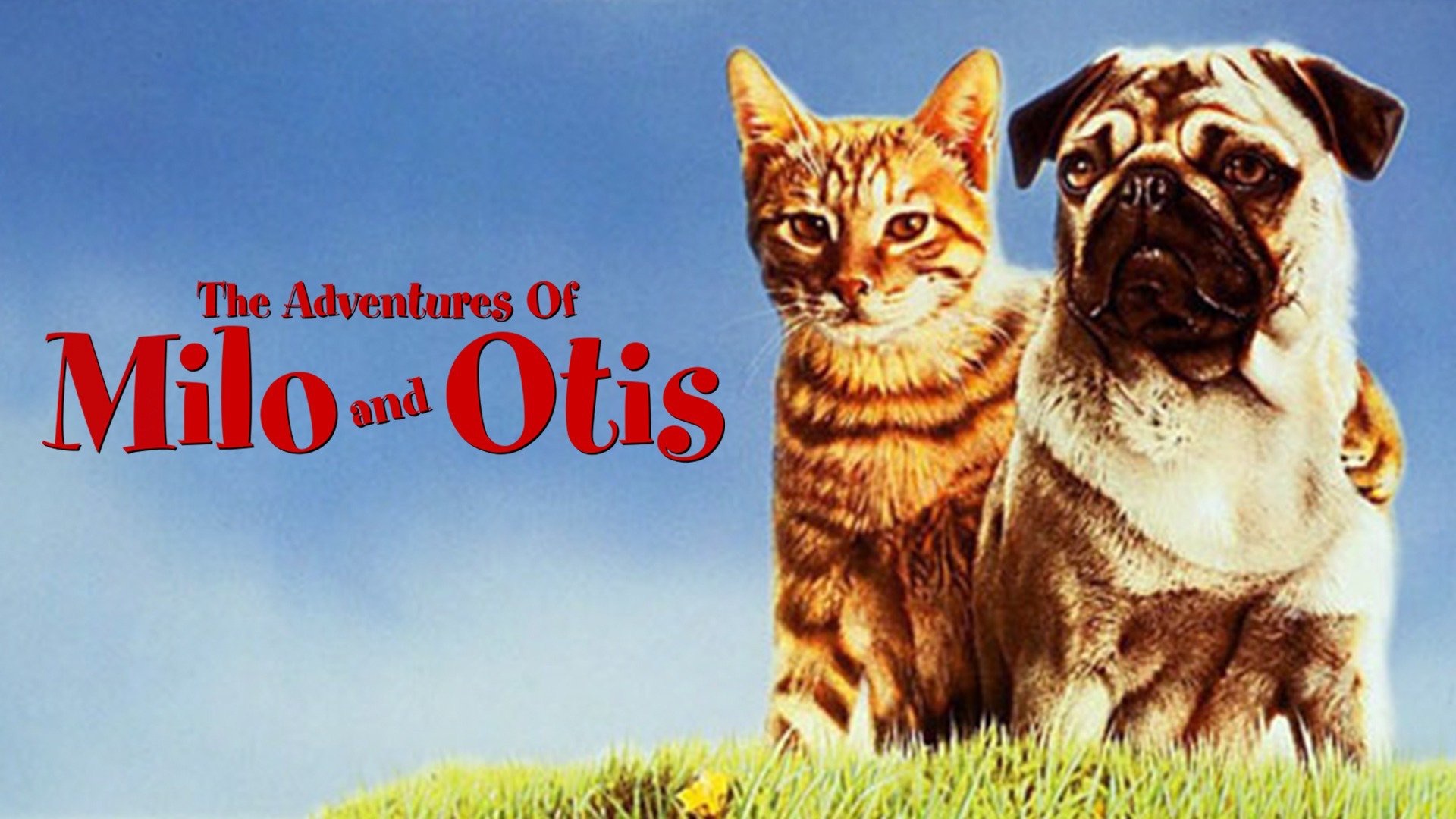 The Adventures of Milo and Otis Apple TV