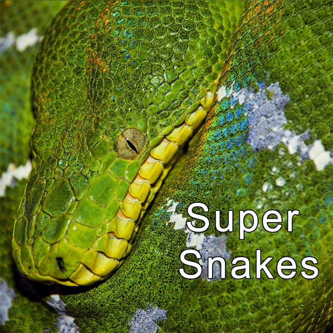 Super Snakes - Apple TV