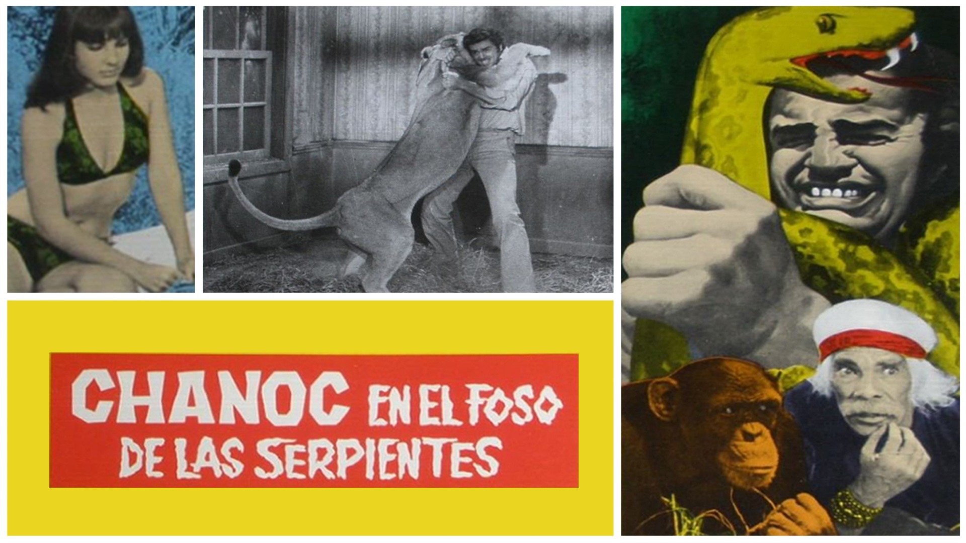La Serpiente Y El Arcoiris Trailer Español